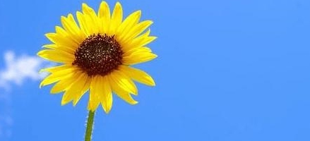 大学|盯紧985、211的同时，别忘带有这个三字标签的大学，错过会后悔！