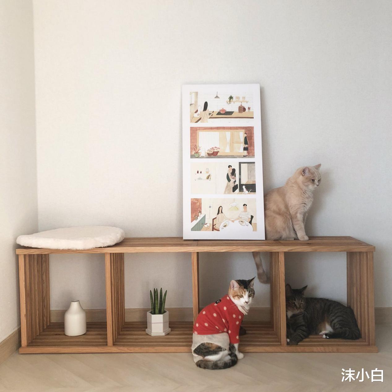 猫砂|晒她53平老小房，家人不解为啥买老房，改完明白了！真敞亮