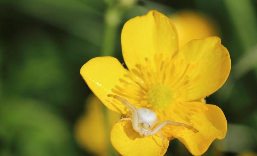 生肖|9月下旬开始，四生肖四面来财，事业名利双收，否极泰来