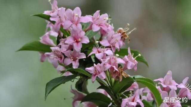 「十二星座」从哪些细节可以看出，金牛座很喜欢你？