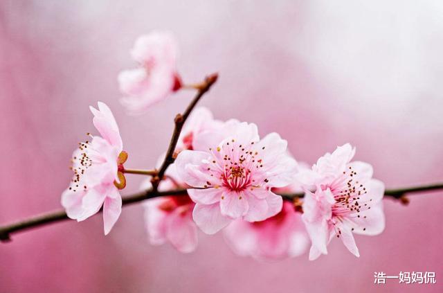 #天蝎座#6月20号，财运鲤鱼跃龙门，一飞冲天，钞票如雨的3大生肖