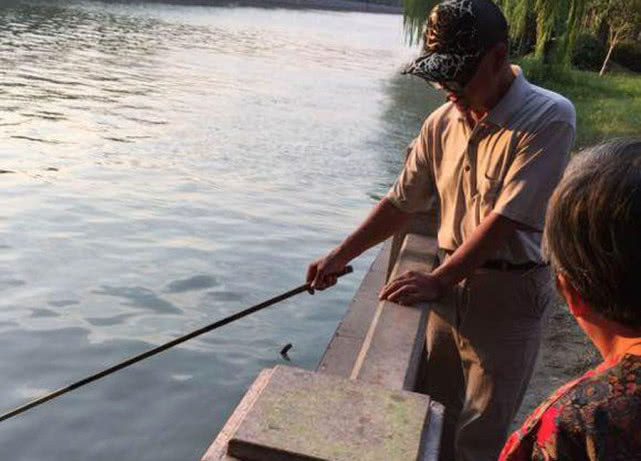 []万能鱼饵非蚯蚓莫属？不，还有苍蝇也可以钓鱼