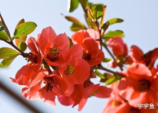 吉星|步入9月中旬,4属相吉星庇佑,事业顺心,添财添福,大吉大利