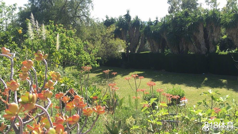 #大众汽车#炫富！郝海东晒1万平豪宅+毕加索画作怼网友：我挣的钱想咋花就咋花