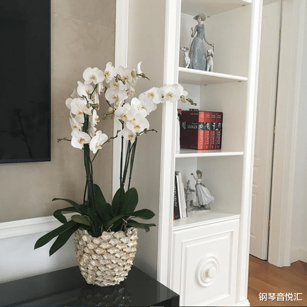 #阿依达#看了这么多场线上音乐会,你知道艺术家的家什么样子吗?