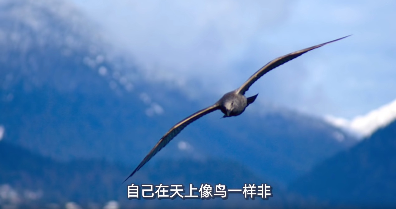 「外星人」为什么人类找不到外星人,最详细分析和猜测,真实的原因竟是这样