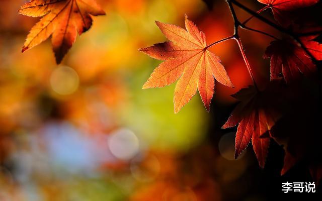 五十知天命，人生下半场的真谛就在这几句话里！