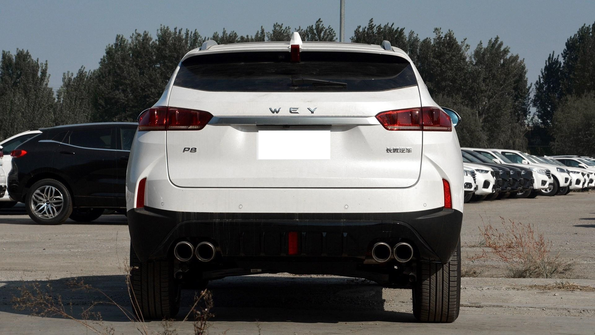 SUV|这国产高端SUV可惜了，起步340匹马力，6.5秒破百，油耗仅2.3L