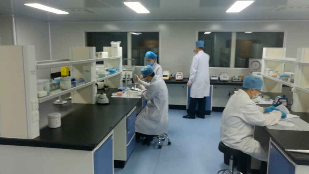 |杭州失踪女子被丈夫杀害碎尸，警方披露侦查细节（附视频）