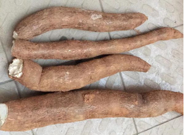 酸汤子|除了“酸汤子”，这5种常见食物也含有“剧毒”，家长尽量别中招