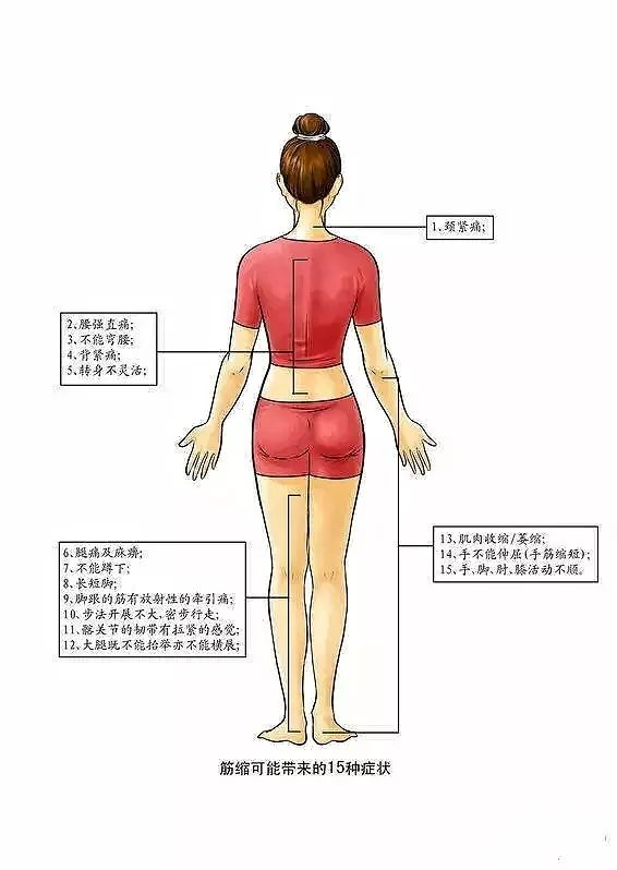 经络■瑜伽拉筋术,每天 10 分钟,身体发生神奇变化!
