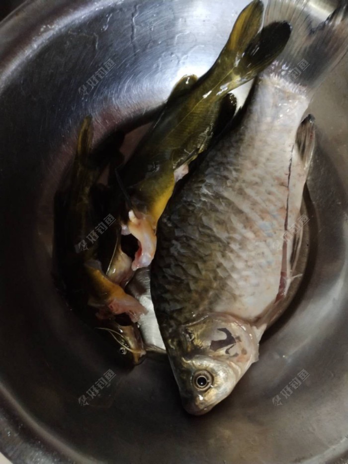 |续钓闸口，再现大板鲫