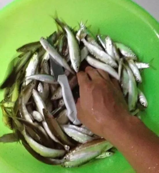 【】钓鱼抽白条也有技巧