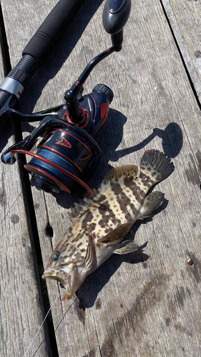 鲫鱼|立秋后钓鱼，别人三连杆你空军，是钓技的问题吗？