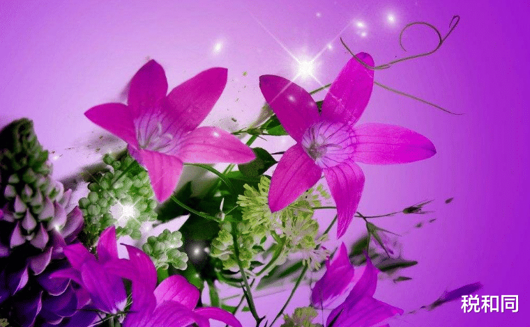 「运势」最近十天，这3属相偏财运好，轻易就能中个大奖改变一生运势