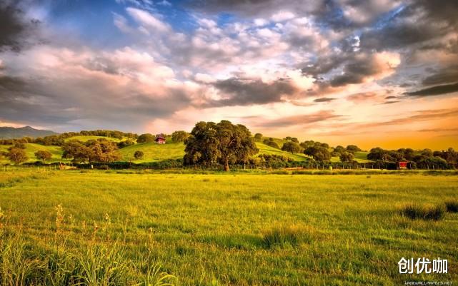 摩羯座|11月，桃花转运，爱情运势大逆袭，将牵手旧爱，坠入爱河的星座