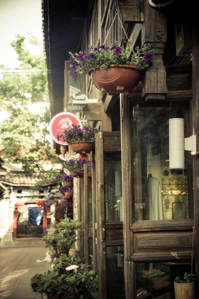 自驾|七条清净的自驾路线，闲云野鹤的菜，任选一条都不会让你失望