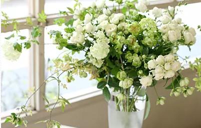 运势|9月,运势如火如荼,赚取万贯家财,事业平步青云的4生肖