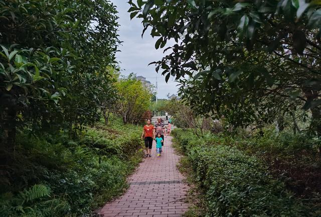 长沙|长沙第二山体公园，有点名不副实，不过湖区景色却比梅溪湖还美