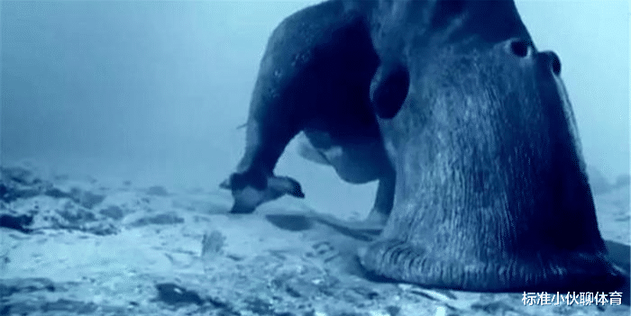 冥王星|新视野号传回一张照片，冥王星发现巨型生物，和外星人有关吗？