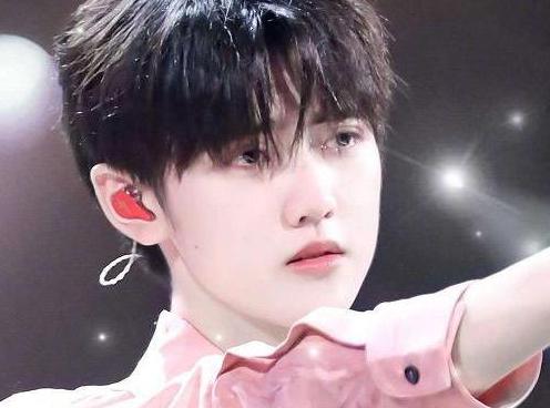 张子枫|今年参加高考的4位明星,张子枫上榜,最后一位才是学霸