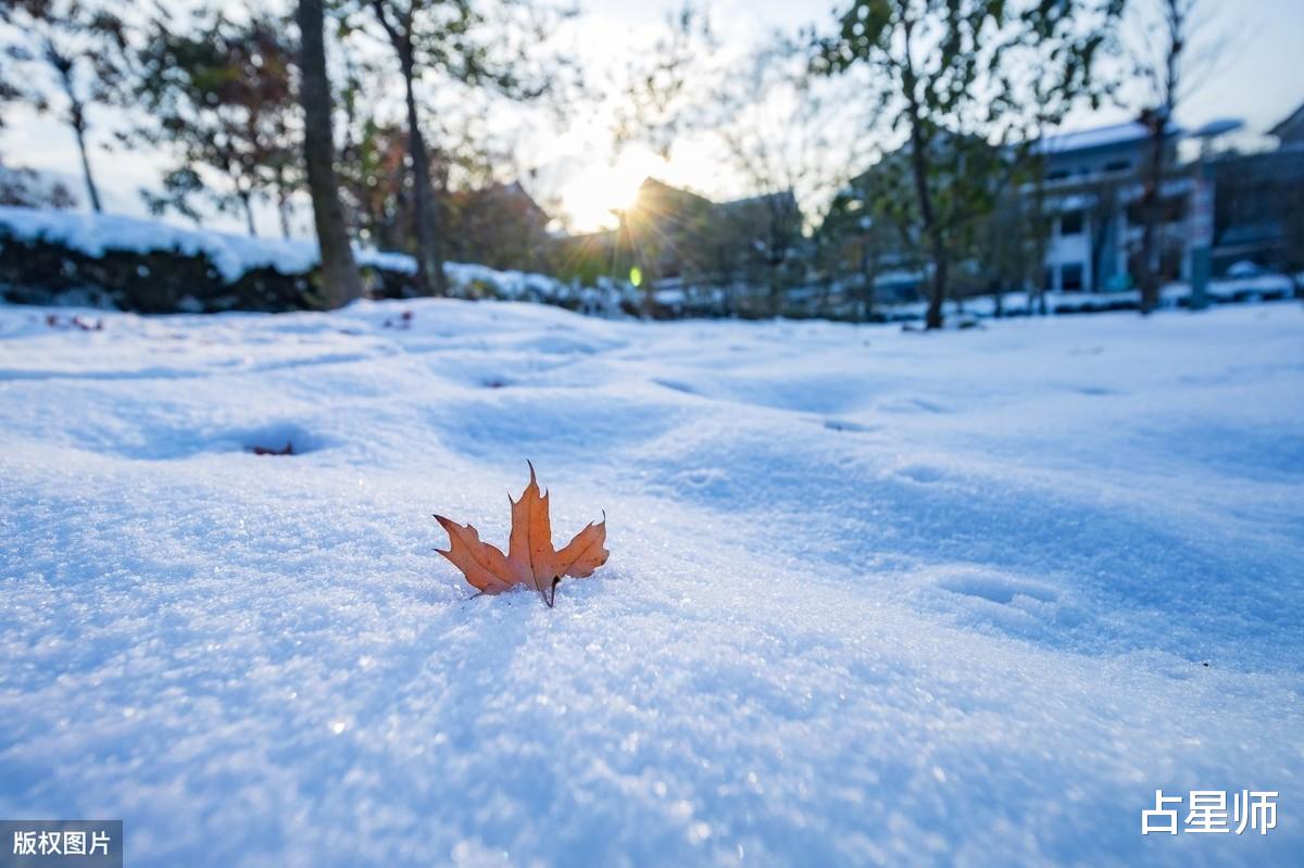 「生肖」（月运）娜迪亚_2020年6月星座运势：几家欢乐几家愁
