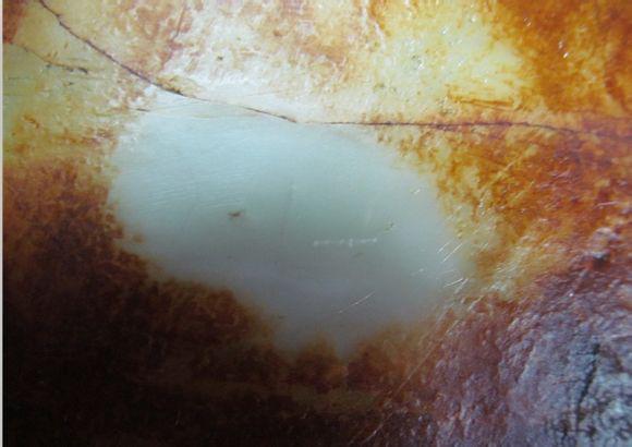 和田玉籽料▲趣图巧辨和田玉籽料和韩料