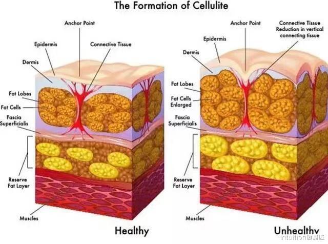 健身|国产健身美女,49kg增重到65kg,比起体重,体型才是好身材的基础