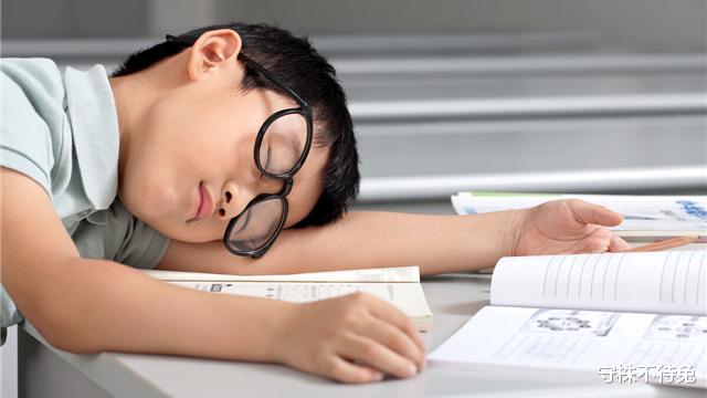 蟑螂|25个冷知识：学校里不大可能学到，但却真实存在于世界的有趣事实