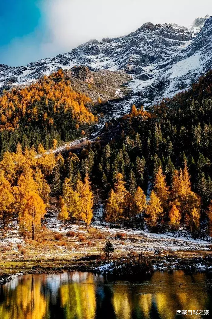 若尔盖|景 | 再过一个月，来看世间醉美的秋天！
