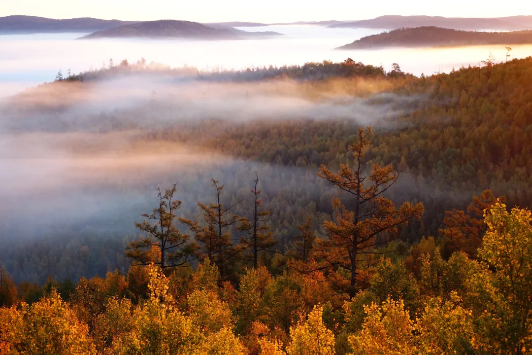 长白山|秋天的东北藏不住了，一组照片流出后，全世界都被惊艳了！