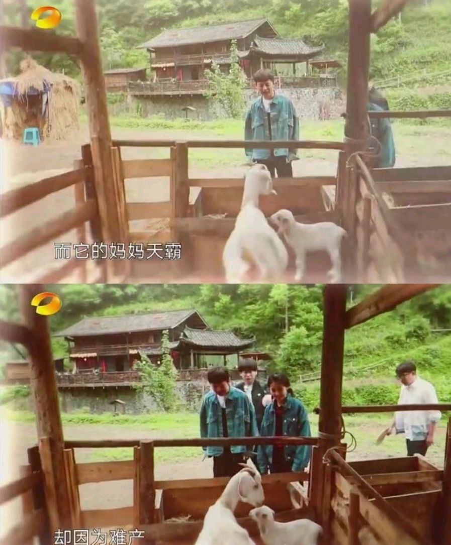 刘小慧■第一期阵容太强大，陈赫发文缅怀天霸，被网友称节目组陷版权风波