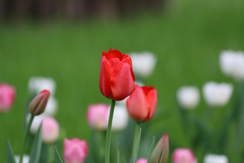 |9月12号开始时来运转，财运一路飘红，3生肖吉星高照，发财又发福