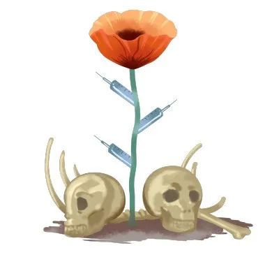 漳州▲竟然在家里种罂粟？！这奇葩理由还挺多···