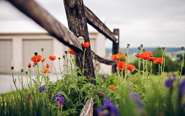 生肖|八月份，这几个星座爱情付诸东流，或许缘分已经到头