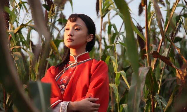 『电视剧』《猎狐》凭什么而火，当你知道这些原因后就不足为奇