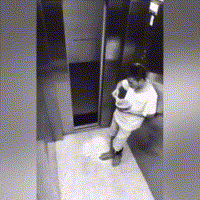 股民|重磅，监管大招不断，股民最担心的事发生了！