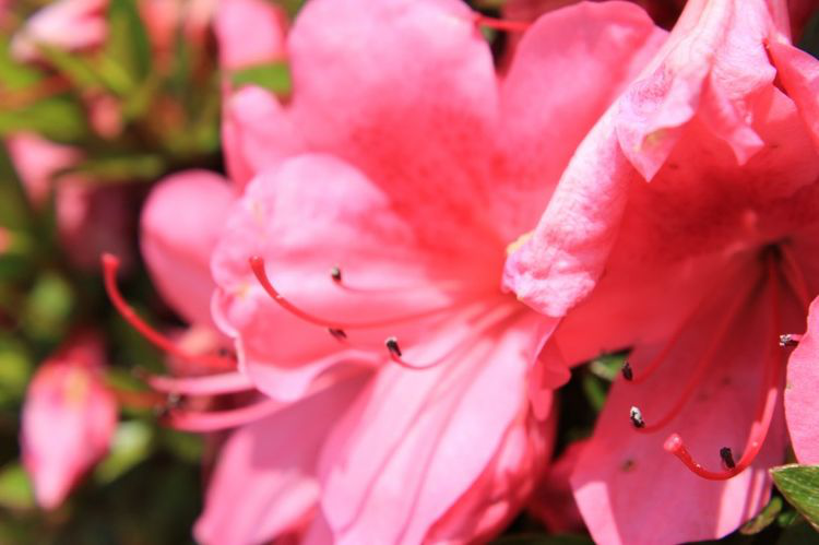 天蝎座|9月底好运“势不可挡”的4大生肖，桃花运旺盛，很可能要脱单！