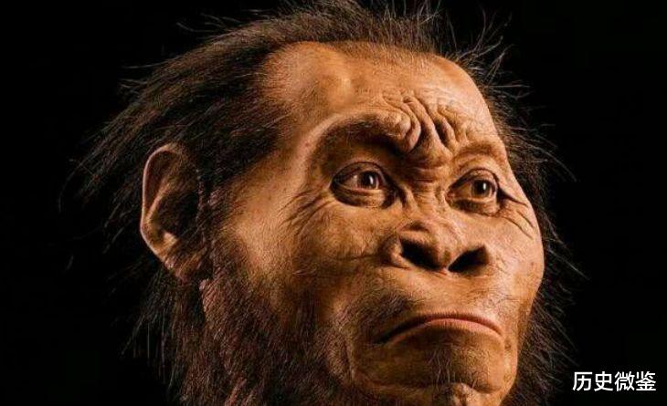 海克尔▲人类生命的起源,始于3亿年前的一条鱼?专家:持续100多年的骗局