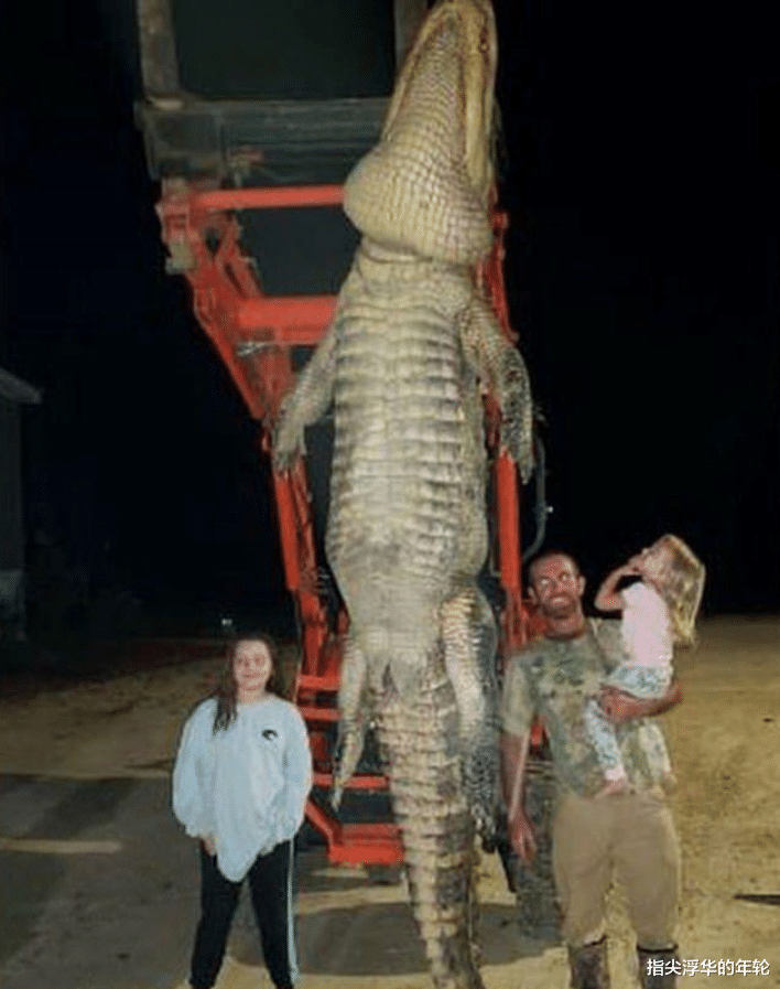 |美国男子遭4米长巨鳄跟踪多年,联手朋友将其猎杀示众