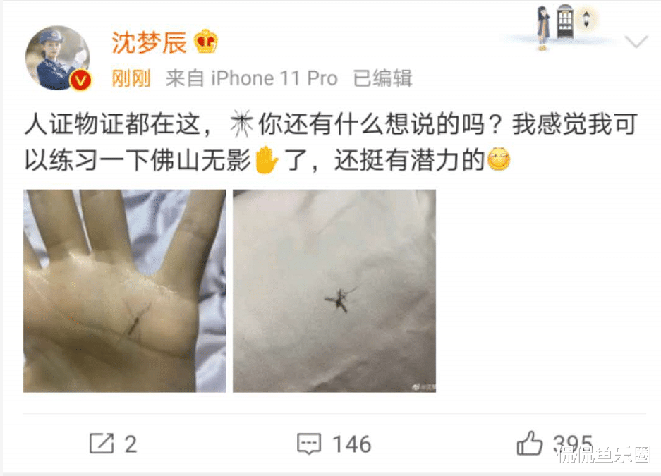 沈梦辰|杜海涛真有福气！沈梦辰颜值惊艳，身材直逼柳岩，着实让人羡慕！
