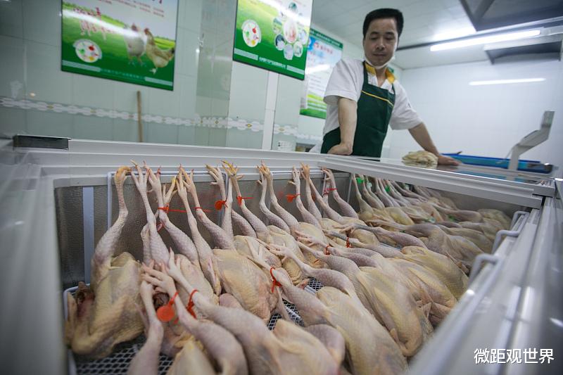 伦理|为何人类通常吃食草动物的肉，却很少吃食肉动物？看完你就懂了