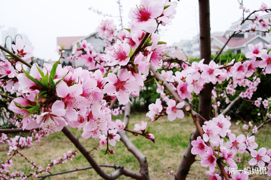 生肖■6月19号，运势走红，天赐福禄的3大生肖，赚钱更容易，发家致富