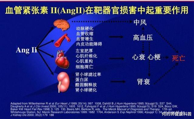 降压药|沙坦类降压药起效慢，副作用小，8类高血压人适合，服用要注意这5点