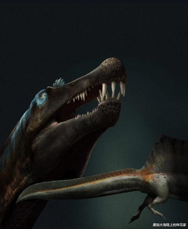 恐龙@百年前非洲的惊人发现,刷新了古生物学家对恐龙家族的认知!