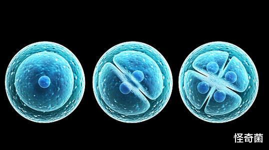 科学家|数字3、6、9中隐藏宇宙真相？特斯拉的怀疑让人细思极恐