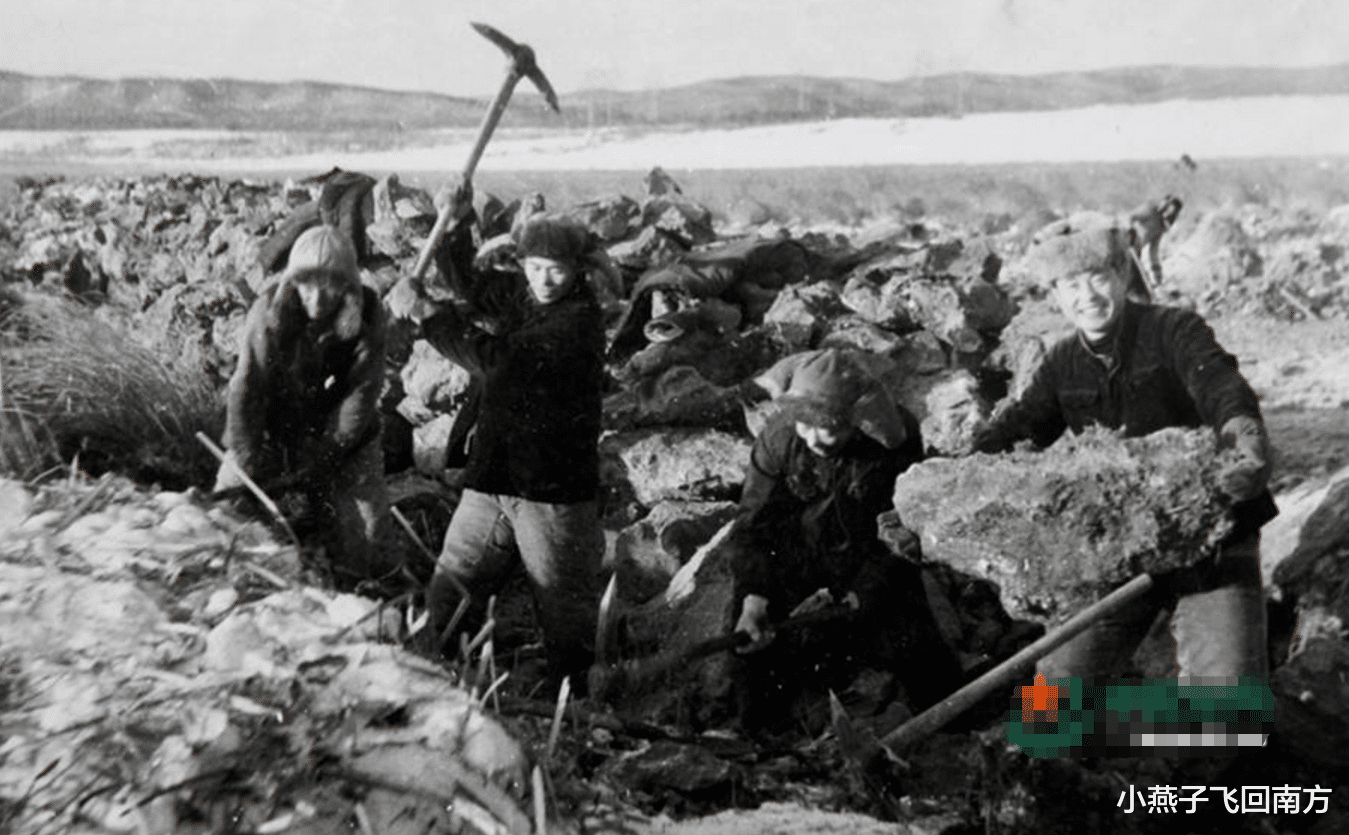 机器|上世纪农民可肩扛数百斤，为何如今不行，人类是否已经开始退化？