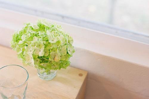 生肖|在近期,旧爱依旧,兜兜转转,邂逅前任,重燃爱火的四大生肖