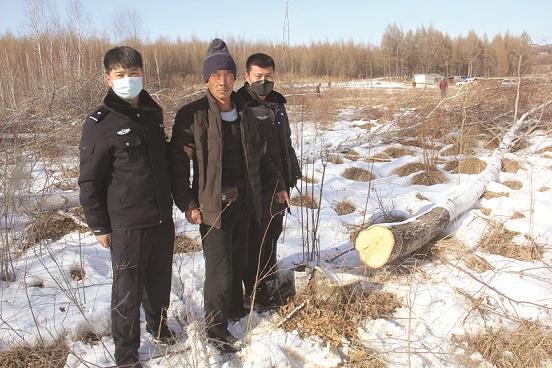 「民警」盗伐树木403株，其中珍贵树种43棵！跛足男子疫情期冒雪进山作案