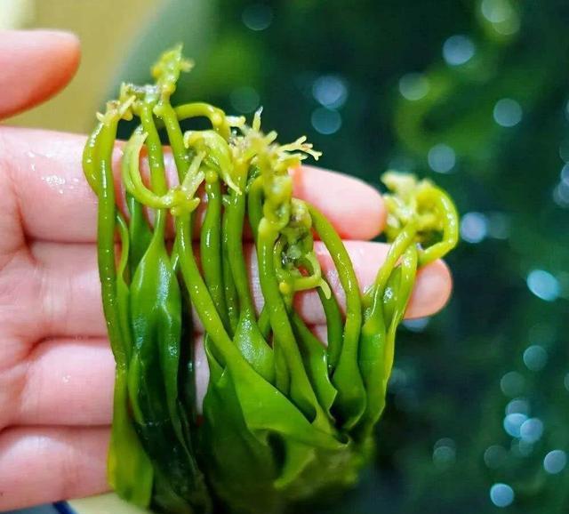 「抗衰老」8个部位最先出卖年龄，抗衰老要多吃这10种食物